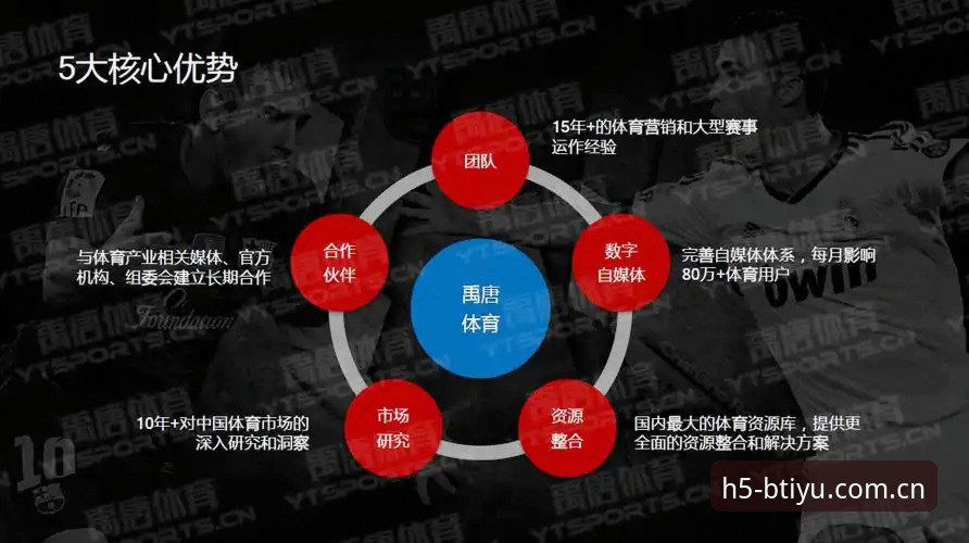 B体育官方网站安装失败？最新解决方案与数据解读